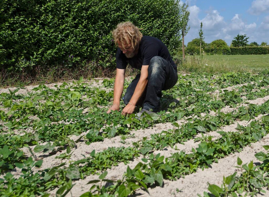 Ludovic dans les champs
