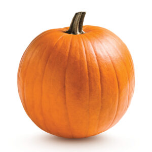 Plant Courge Jack o lantern – 2,50€/pièce