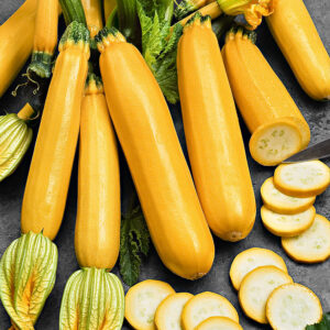 Plant Courgette Gold rush – 2,50€/pièce