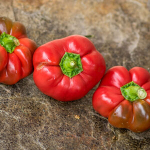 Plant Poivron Pomme damour – 3,50€/pièce