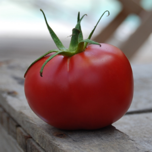 Plant Tomate Rose de Berne – 3,00€/pièce