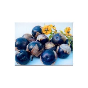 Plant Physalis Tomatillo – 2,50€/pièce