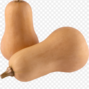 Courge Butternut - 3,00€/kg