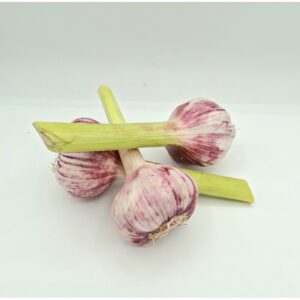 Ail frais violet – 19,80€/kg