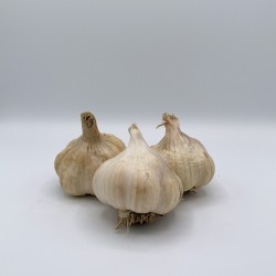 Ail sec - 14,00€/kg