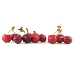 Cerise – 20€/kg