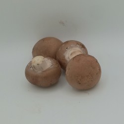 Champignons châtaignes - 11,80€/kg