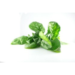 Épinards - 7,50€/kg