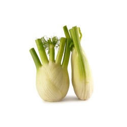 Fenouil - 7,00€/kg