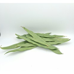 Haricots verts plats - 12,00€/kg
