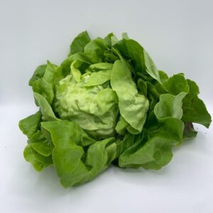 Laitue pommée verte – 2,50€/pièce