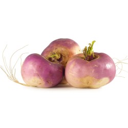 Navet violet - 3,00€/kg