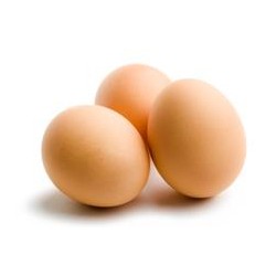 Œuf bio – 0,50€/pièce