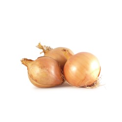 Oignons jaunes - 2,50€/kg