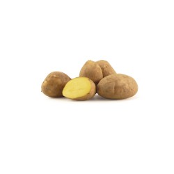 Pomme de terre Alouette - 2,70€/kg