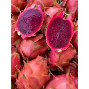 Pitahaya rouge (Fruit du dragon) 18€/kg