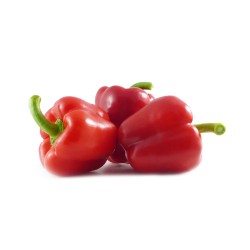 Poivrons rouges - 11,00€/kg