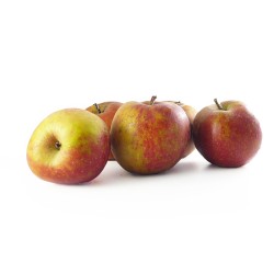 Pomme Boskoop - 4,00€/kg