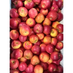 Pomme Natyra - 4,50€/kg