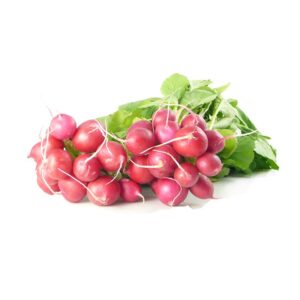 Radis rouge – 2,00€/botte