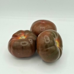 Tomate noire - 8,00€/kg