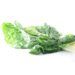 Bette 4€/kg