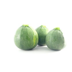 Courgette ronde 4€/kg