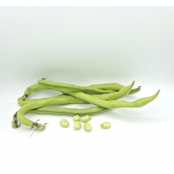 Fève des marais 5€/kg