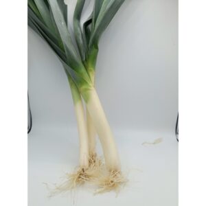 Poireaux 5,5€/kg