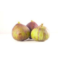 Figue Dauphine 19,90€/kg