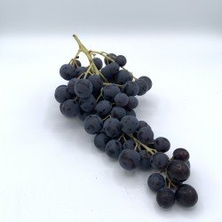 Raisin noir muscat de Hambourg 9€/kg