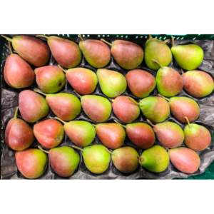 Poire Q-Tee - 5,00€/kg