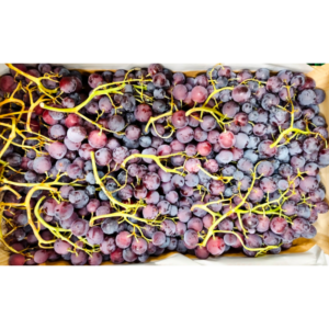 Raisin noir Cardinal - 7,50€/kg