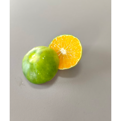Mandarine satsuma (à peau verte) - 6,50€/kg
