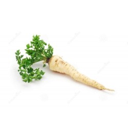 Persil tubéreux - 4,50€/kg