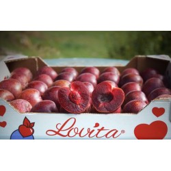 Prune rouge Lovita - 10€/kg