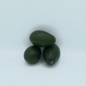 Avocat Bacon -10,00€/kg