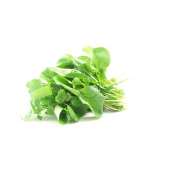 Cresson de Jardin - 1,8€/100gr